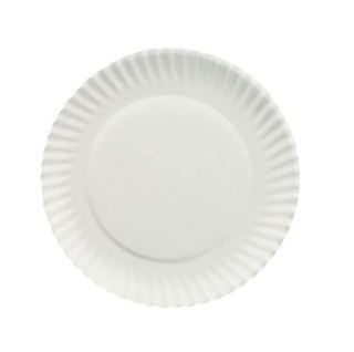 TALERZE PAPIEROWE jednorazowe 15cm GRILLOWE 100szt